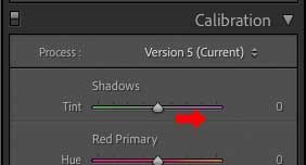 Lightroom-Classic-Calibration-Shadow-tint.jpg