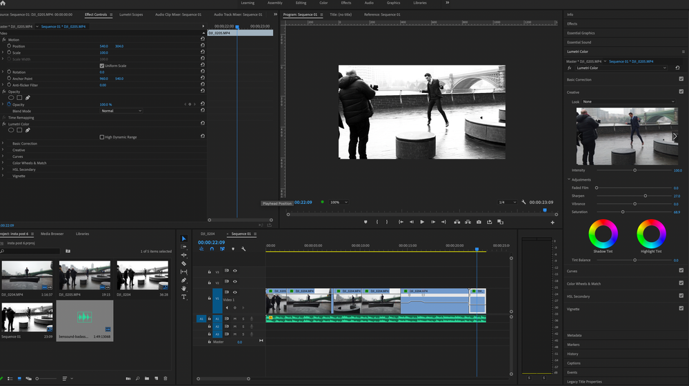 How To Remove Interlace Lines From Video In Premiere