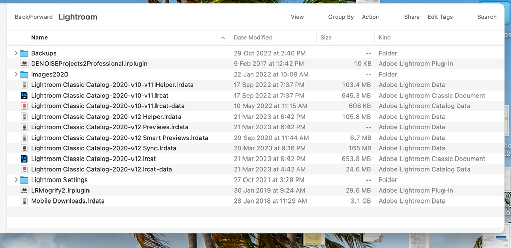 Screenshot 2023-03-23 at 8.56.27 AM.png