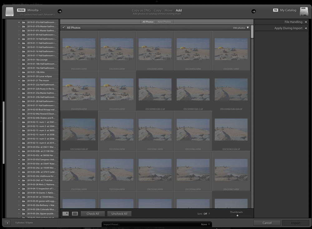Adobe Lightroom Import screenshot with 2 tones of grayed-out images.