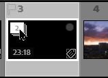 2023-03-31 11_42_07-Roberts Catalog-v12 - Adobe Photoshop Lightroom Classic - Library.jpg