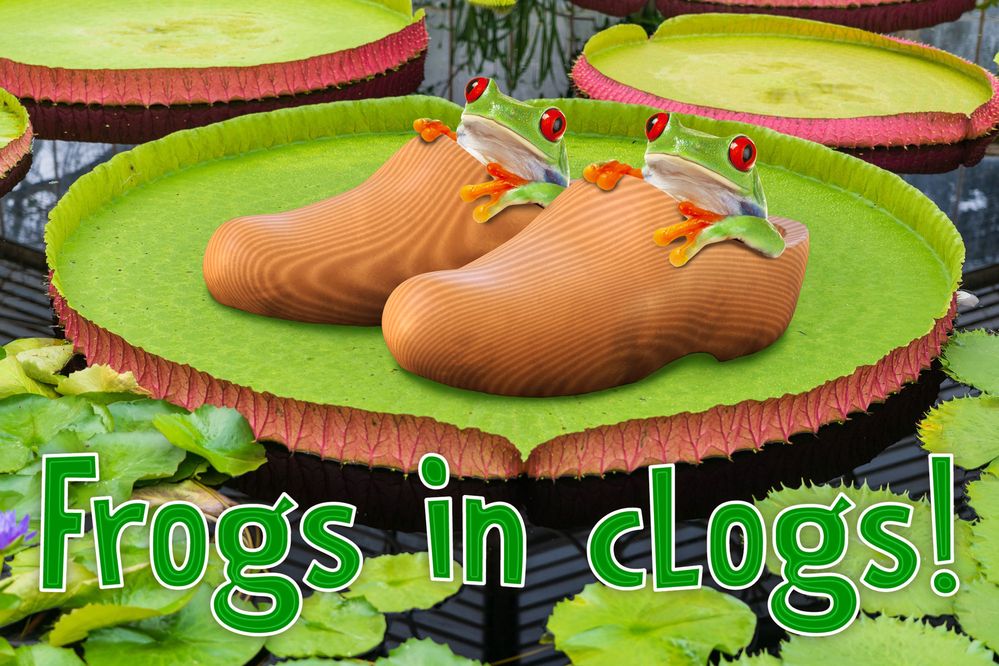 frogs-in-clogs.jpg
