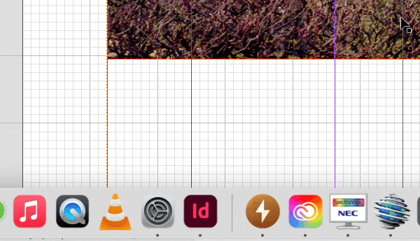 Dock not hiding for InDesign.gif