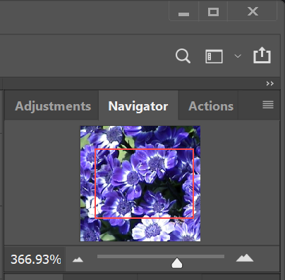 Solved: Images Displaying @ Half Size? - Adobe Community - 13783922