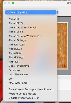 Screenshot 2023-05-13 at 10.41.28.jpg