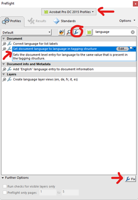 Preflight fixup showing dialog box with Document language selected.