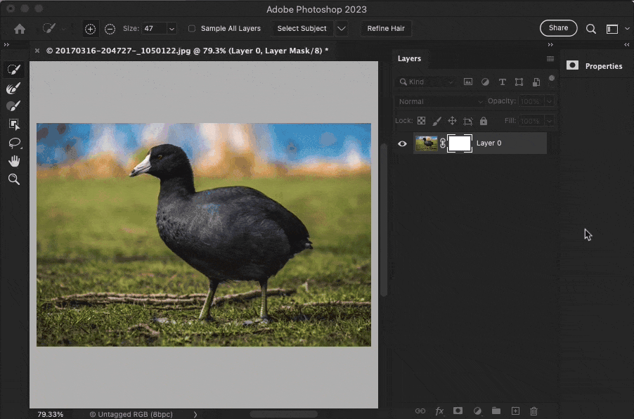Photoshop Select and Mask controls hidden.gif
