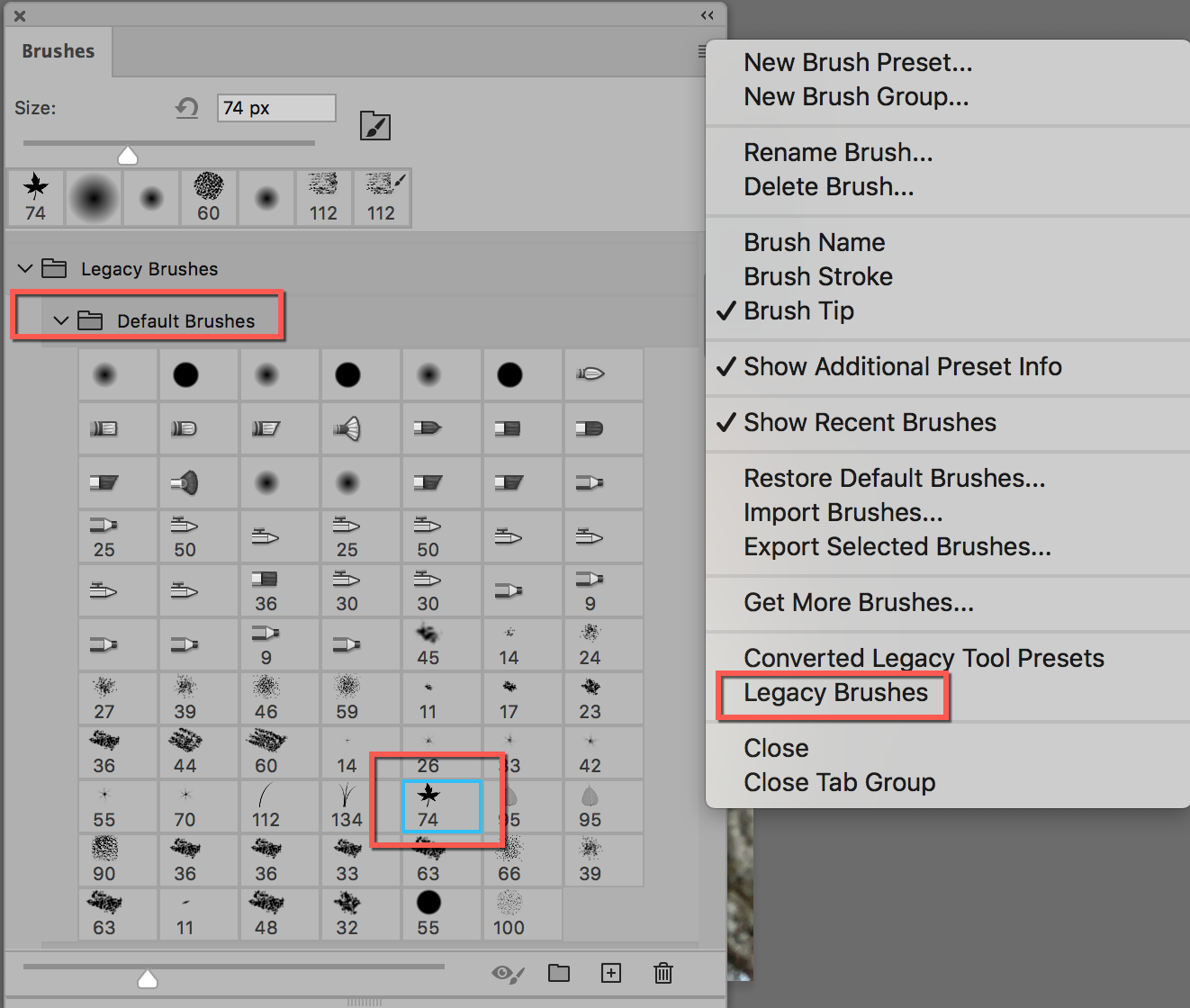 Solved These brushes have disappeared and don't know how Adobe