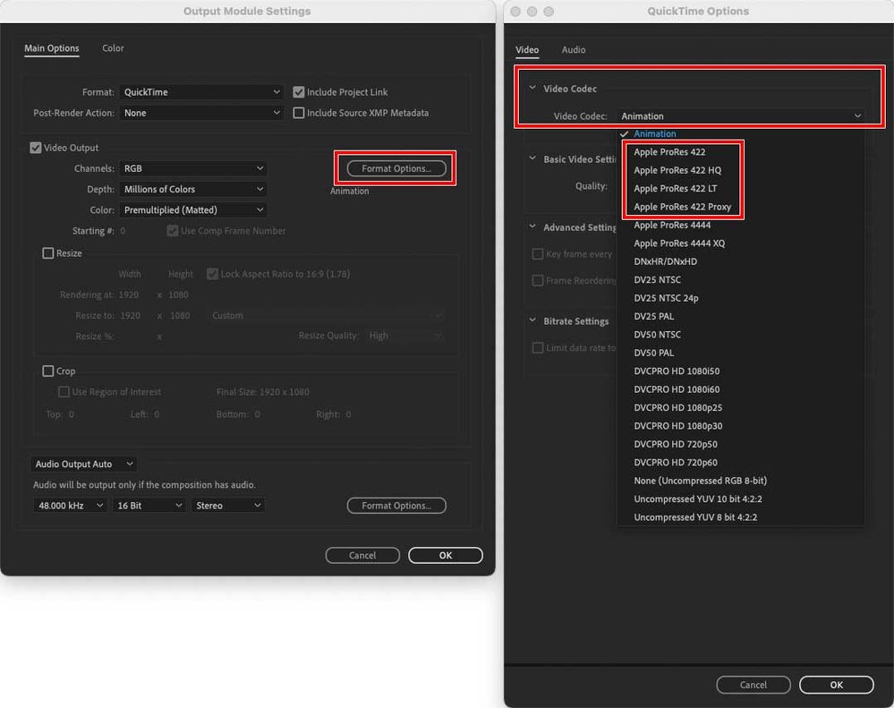 After-Effects-Output-Module-Settings-QuickTime.jpg