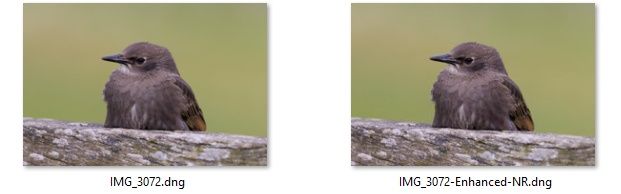 Denoise_DNG.jpg