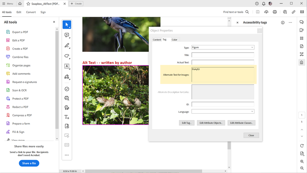 What happens to your Alt Text with June 2023 release of Adobe Acrobat.