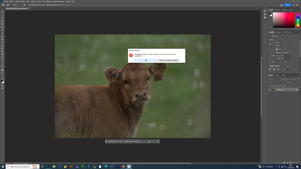 Capture d’écran (48).png