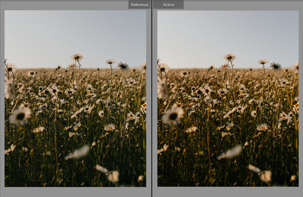 Screenshot 2023-06-12 at 13.51.56.png