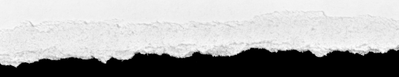 Screenshot 2023-06-13 at 14.37.24.png