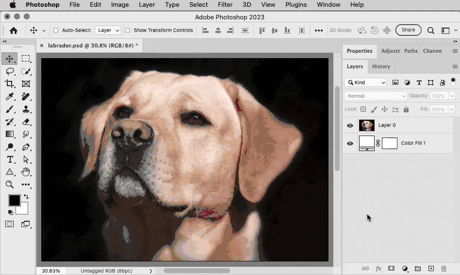 Photoshop CroRonald select dog black border.gif