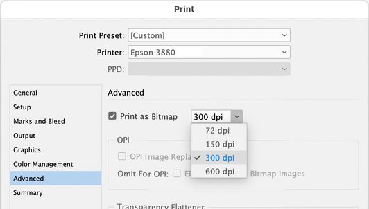 InDesign-Print-Advanced-Print-as-Bitmap.jpg