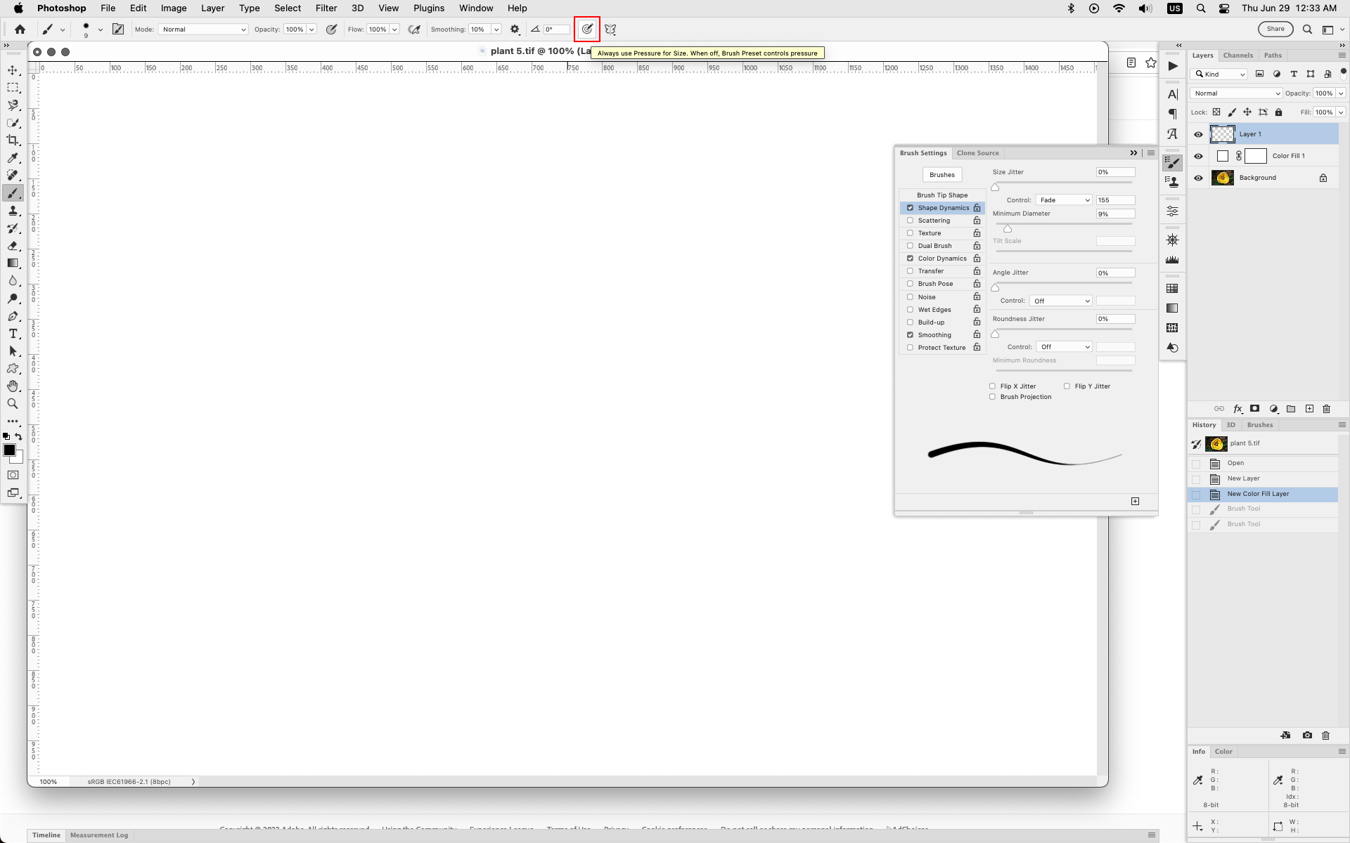 Solved Brush Settings Shape Dynamics Size Jitter Co... Adobe