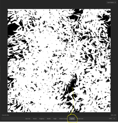 Bernhard5EF3_1-1688177298114.png