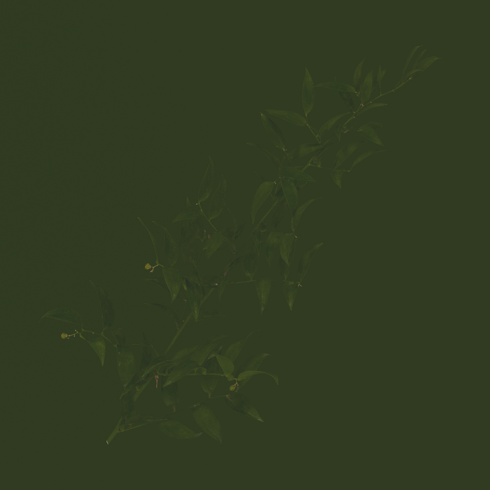 Untitled material_BaseColor.png
