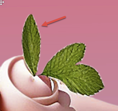 Abambo_0-1688667477795.png