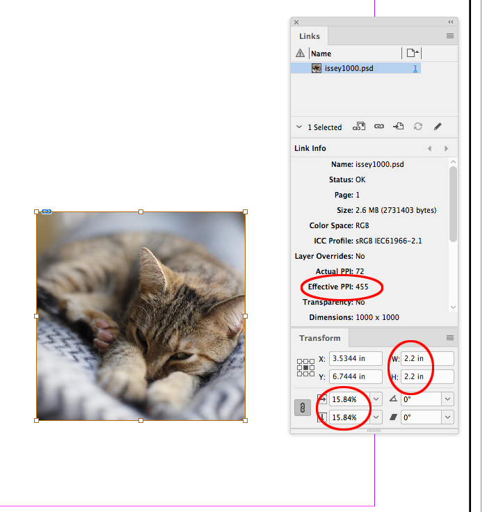 Screen Shot 28.png