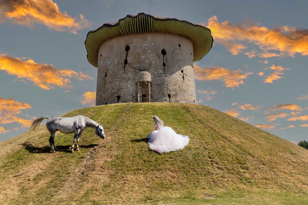 Ok, the young girl should ride a unicorn, but it looks like the generative AI never saw one. So, I added a white horse. The mushroom roof, however is great. The sky is simple sky replacement. I didn't invest to upload my own sky textures.