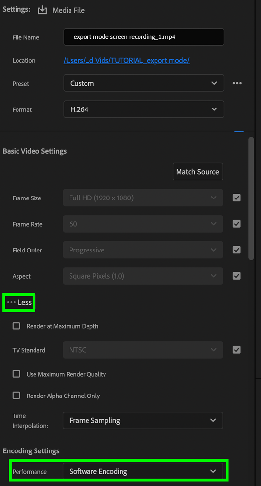 Software Encoding Export Settings.png