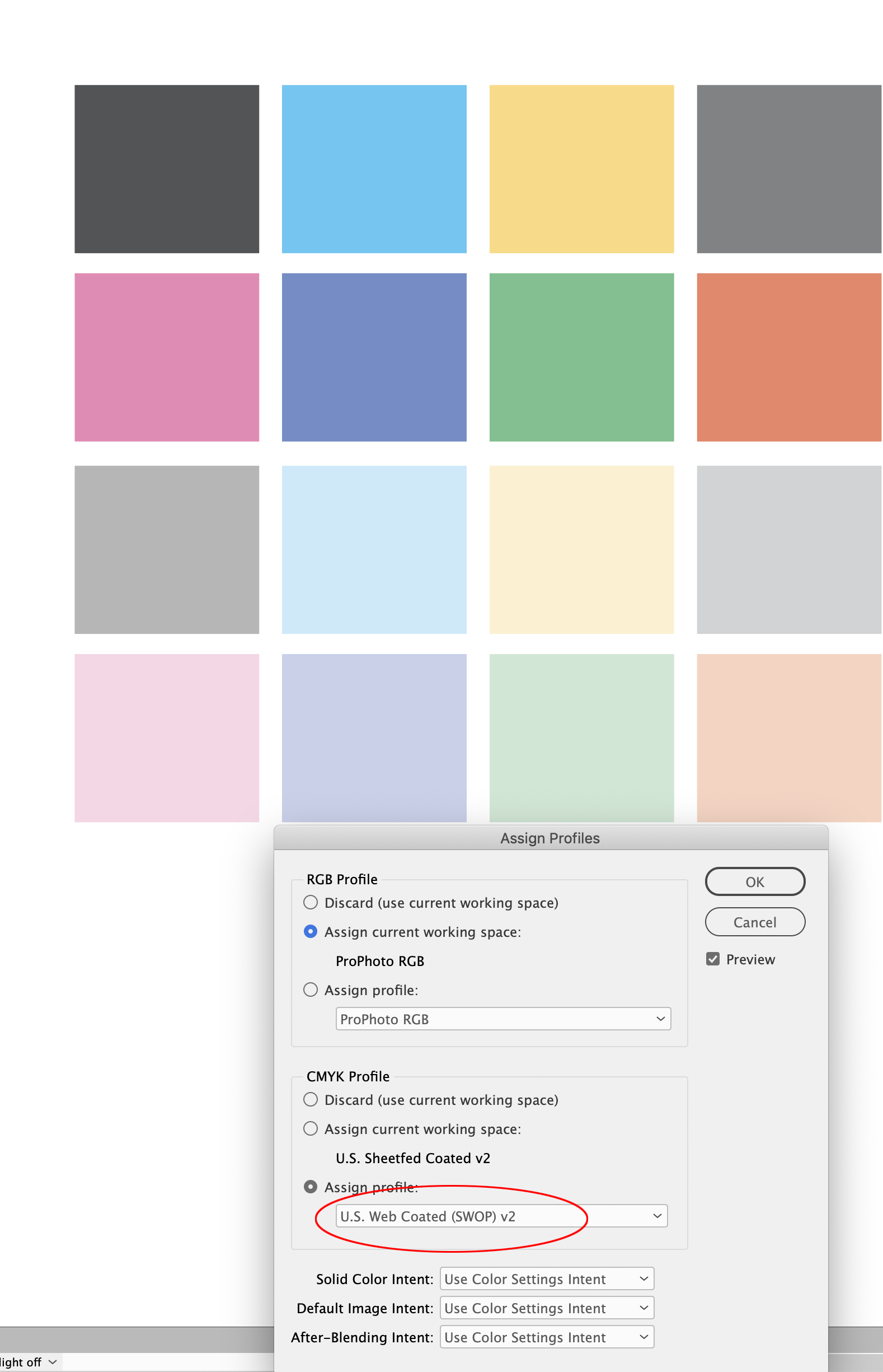 Custom Profile Template In Soft Colors - Mediamodifier