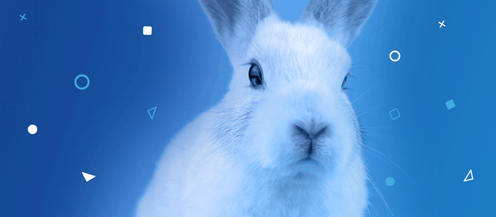 a_new_blue-rabbit_hero.gif