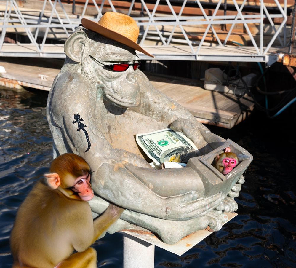SFTW194_Hartlepool_Monkey.png