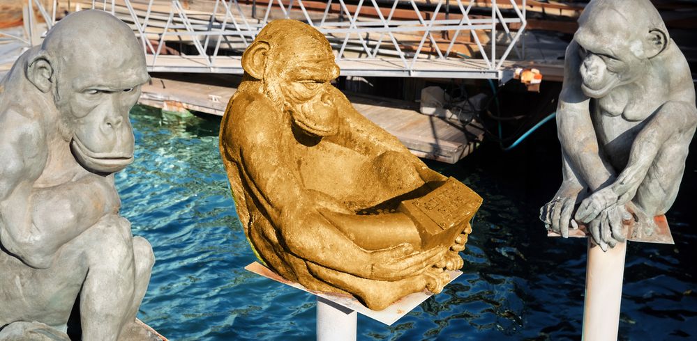 dance around the golden monkey