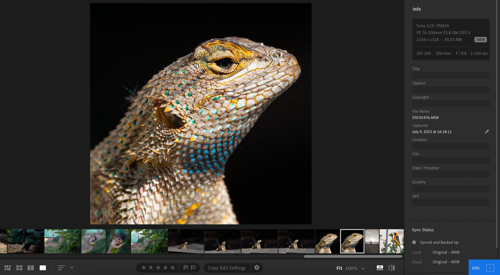 Screenshot 2023-08-14 at 23.17.32.png