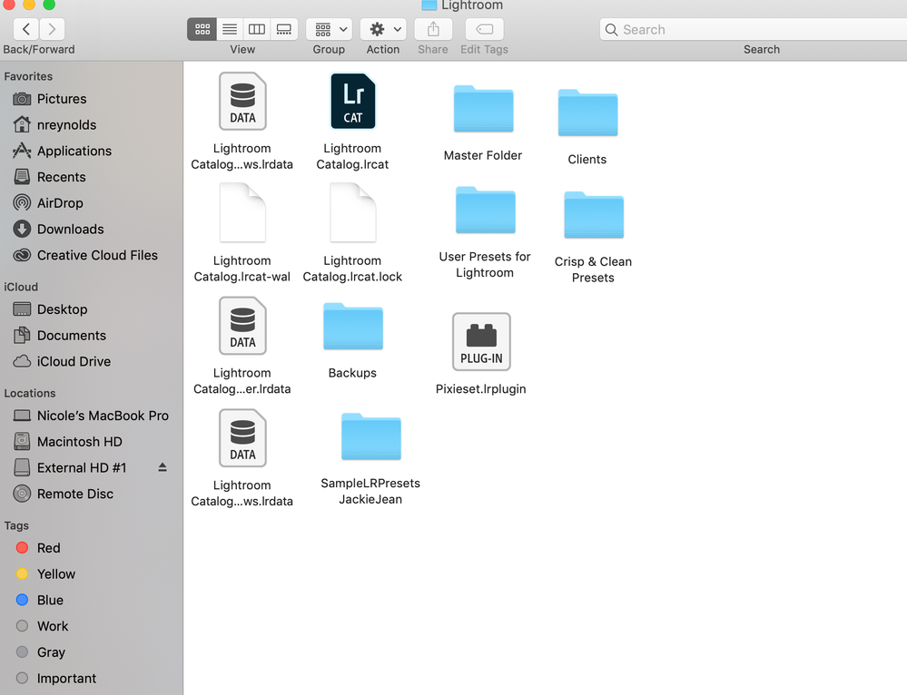 It looks like I have 4 Lightroom catalogs. But then I see 2 catalogs that are blank.