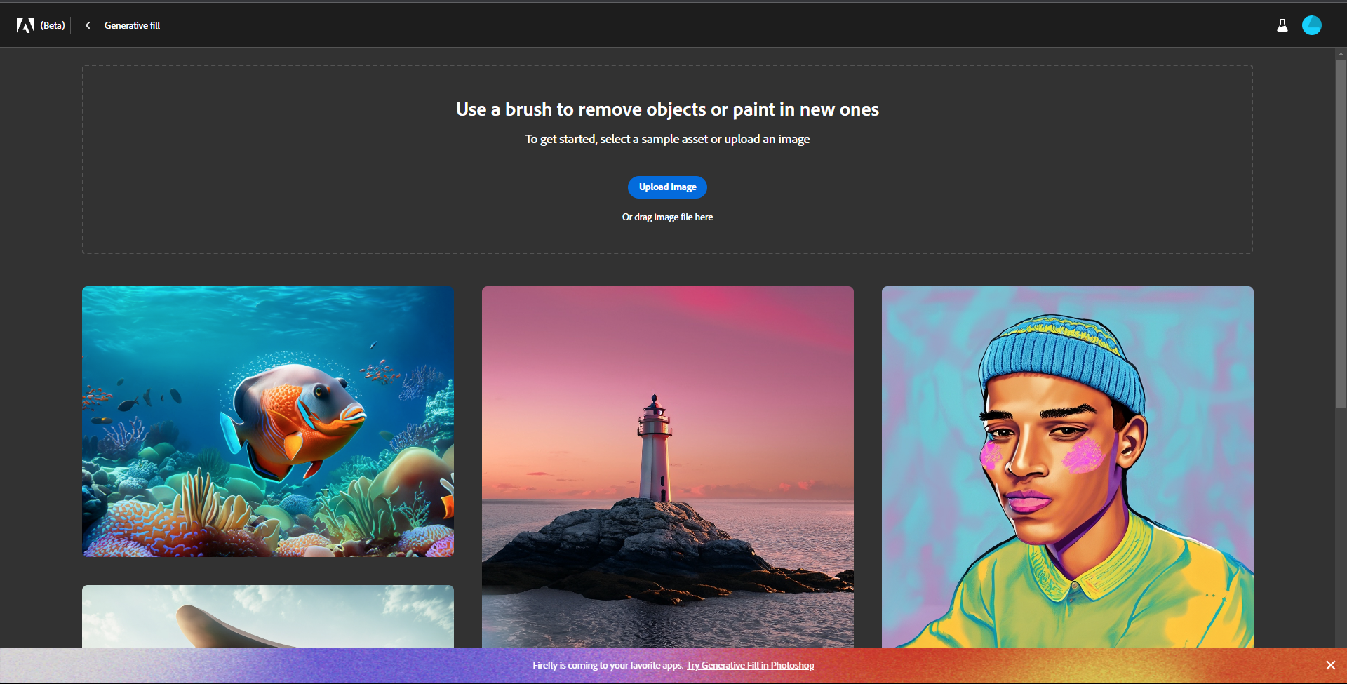 Solved Blank Screen Can't access page of Adobe Firefly Adobe