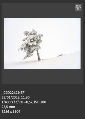 Capture d’écran 2023-08-19 à 09.30.45.jpg