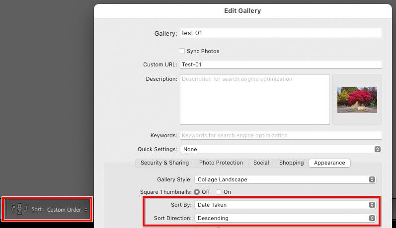Lightroom-Classic-Smugmug-Edit-Gallery-Appearance.jpg