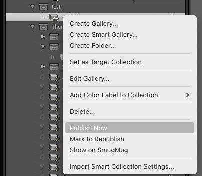 Lightroom-Classic-Smugmug-Publish-Now.jpg
