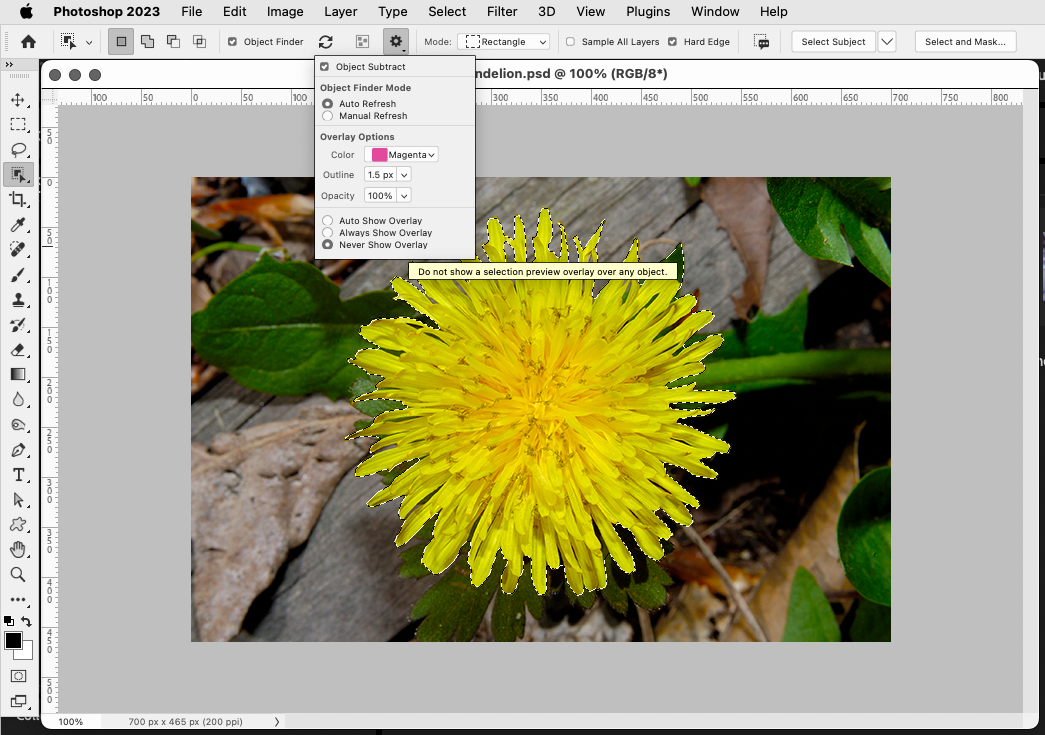 Solved Pink outline when using Selection Tool Adobe Community 14047344