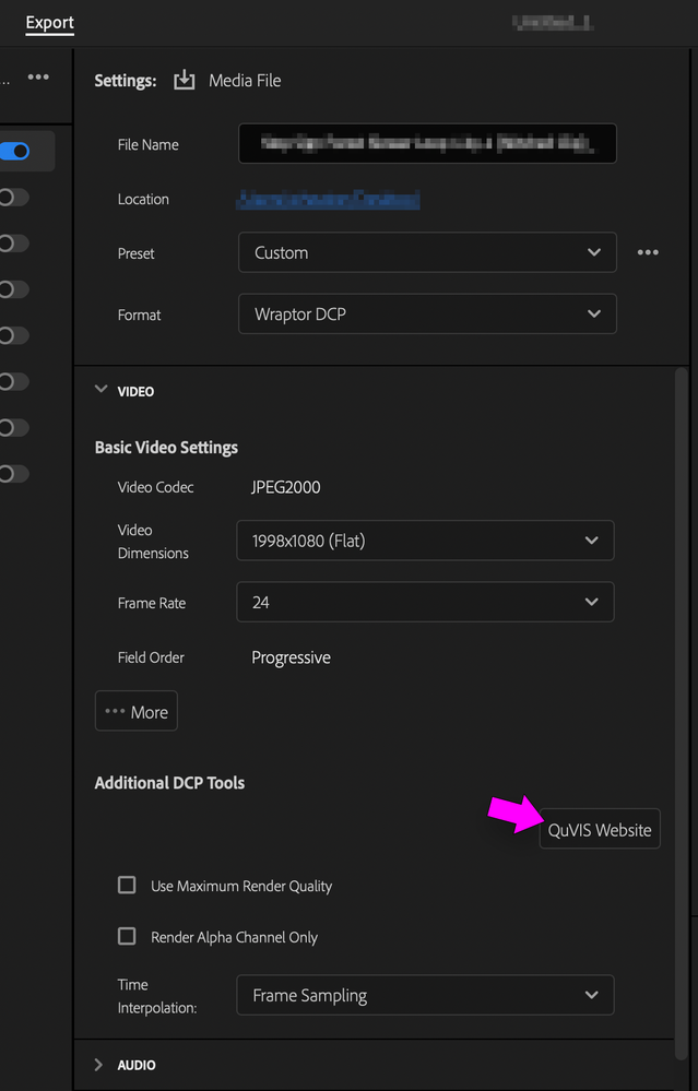 QuVIS Website button under Additional DCP Tools