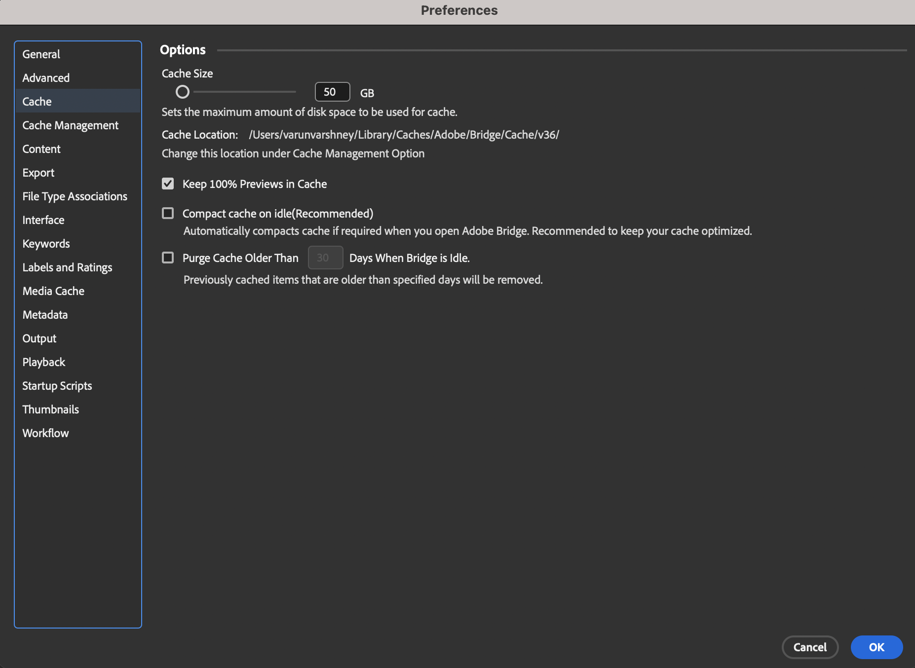 Bridge 2024 not generating thumbnails or previews ... - Adobe Community ...