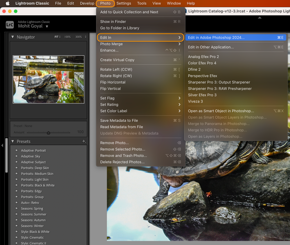 MohitGoyal_1-1695312308002.png MohitGoyal_1-1695312308002.png