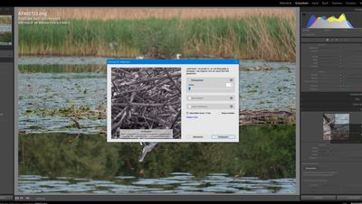Entrauschen Verbessern Problem DNG.JPG