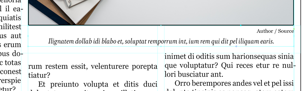 caption_margin.png