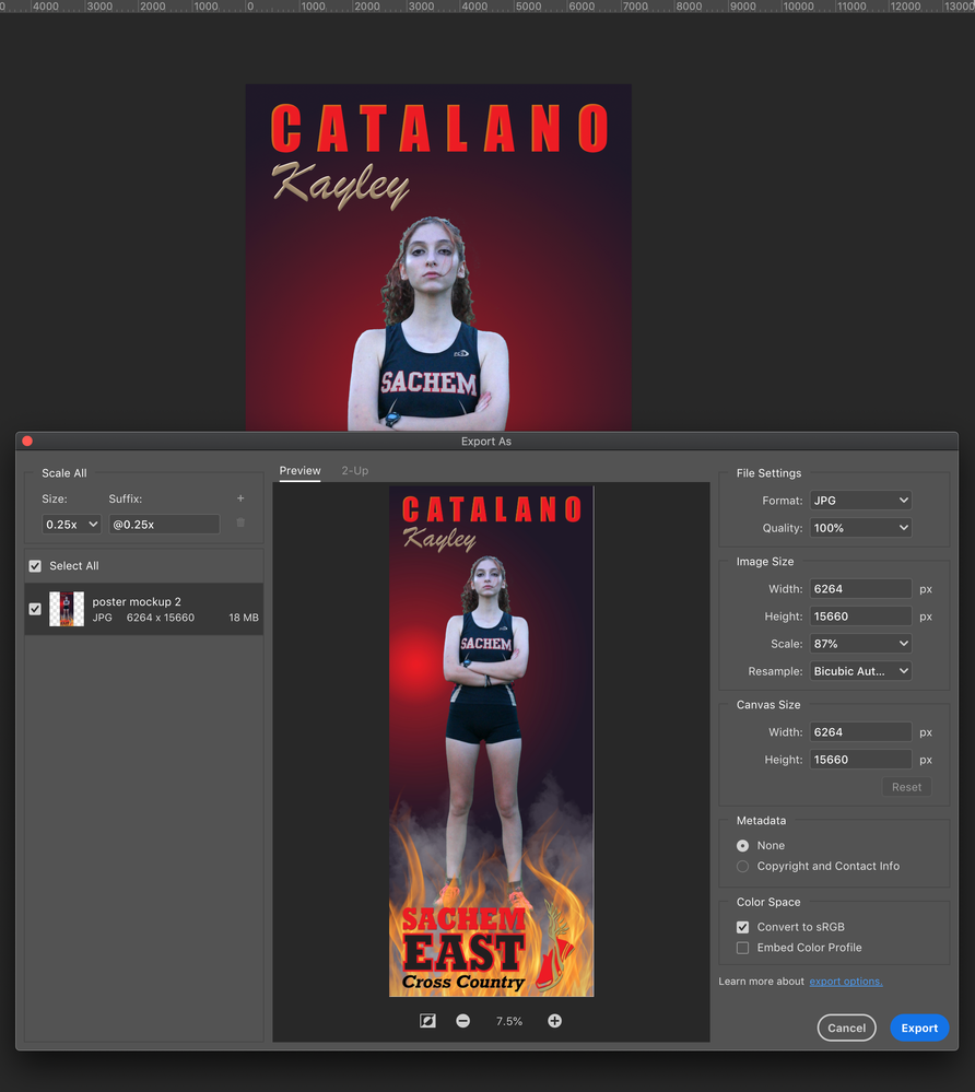 Screen Shot 2023-09-24 at 1.02.40 PM.png