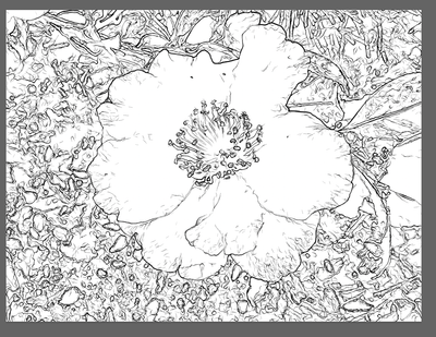 Screen Shot 2023-09-28 at 10.15.16 AM.png