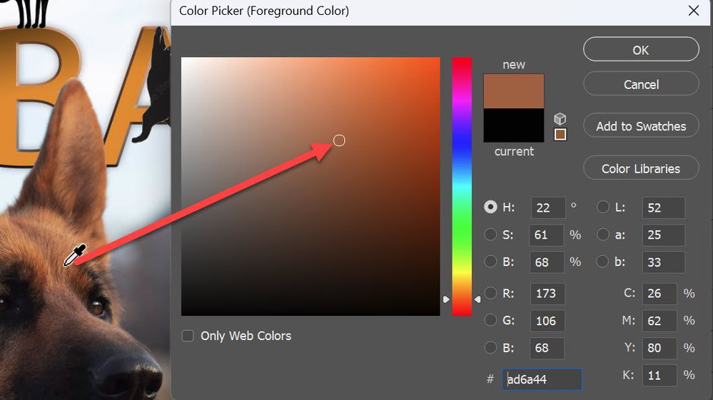 color picker.jpg