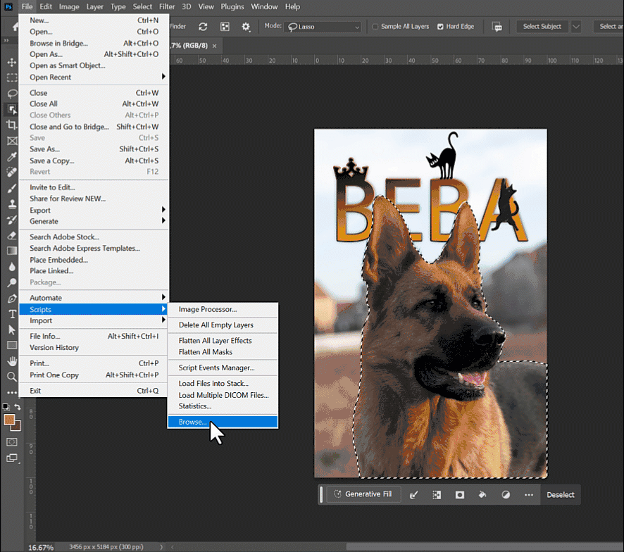 script to rectangular.gif