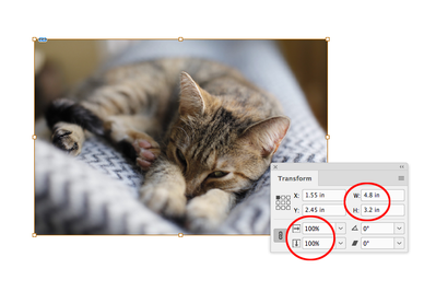 Screen Shot 7.png