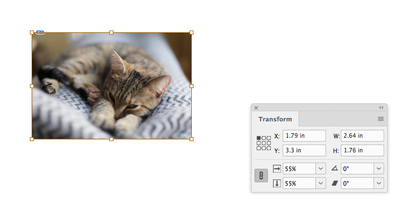 Screen Shot 9.png