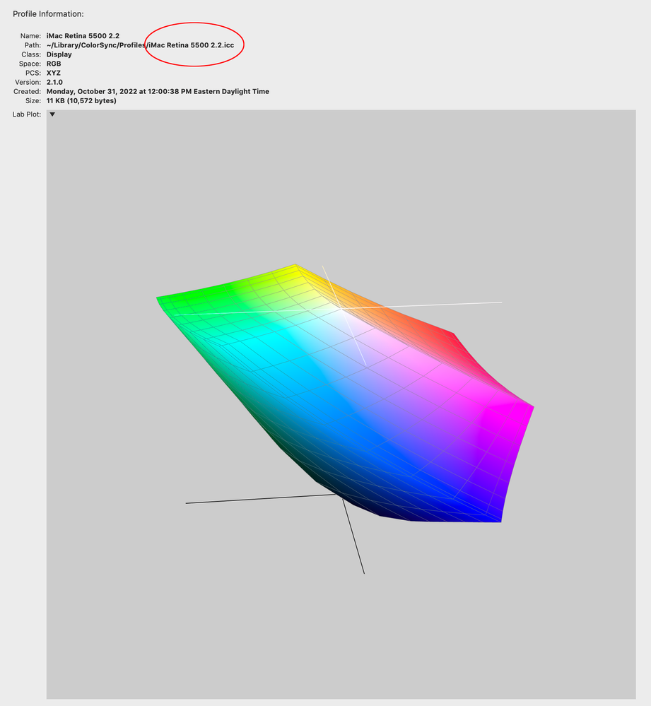 Screen Shot 13.png